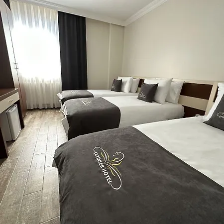 Hotel Cetinler